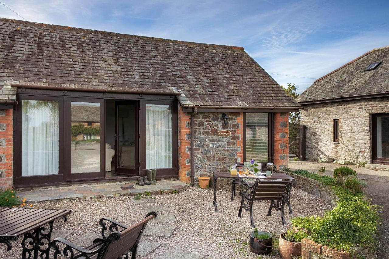 Downe Cottages Hartland Exterior foto